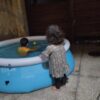 Intex Easy Set 6-foot inflatable pool filled with water, featuring a blue base and white inflatable top ring.